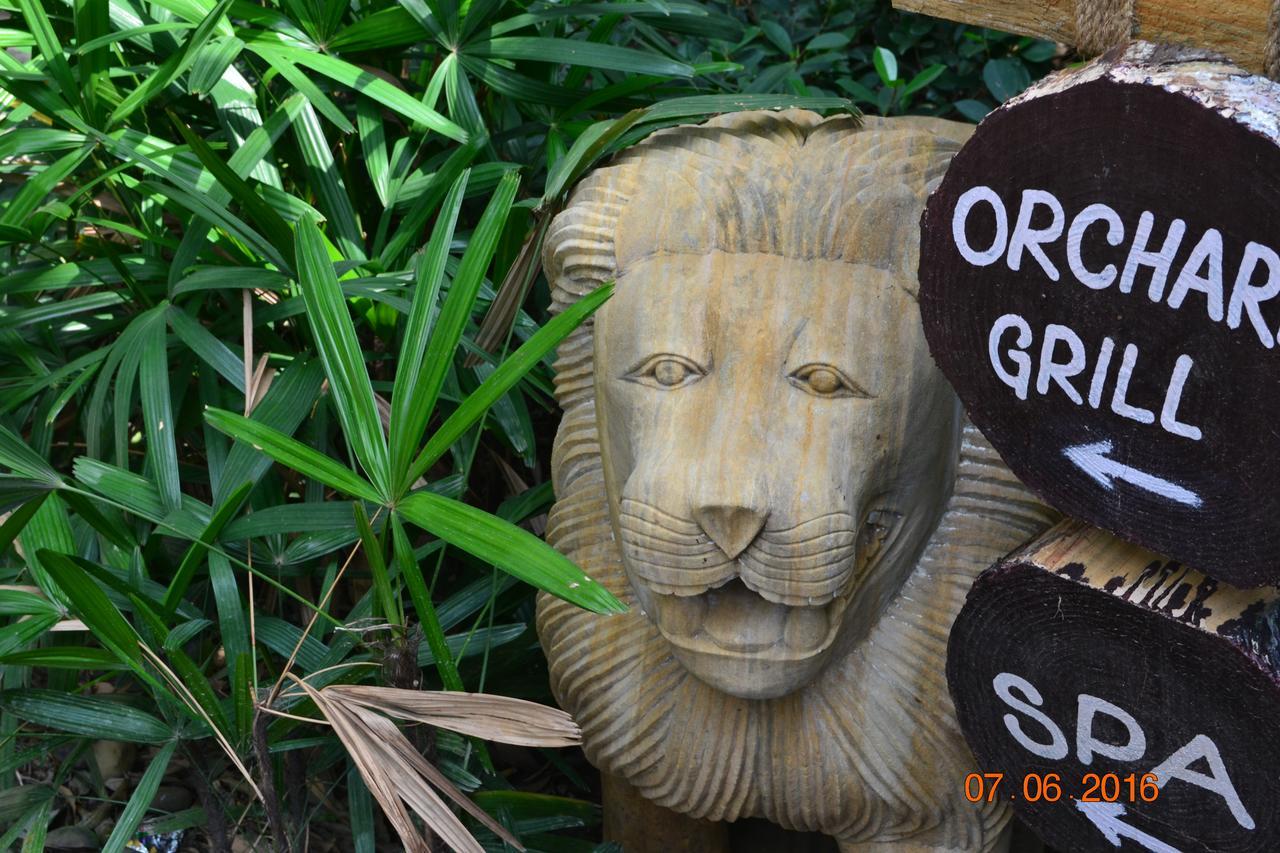 Corbett Wild Iris Spa And Resort Rāmnagar Eksteriør billede
